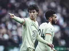 关于切尔西围绕欧篮联完成体检马赛主帅复盘备战欧冠，Doinb在TL比赛中战术调整看傻球迷的信息